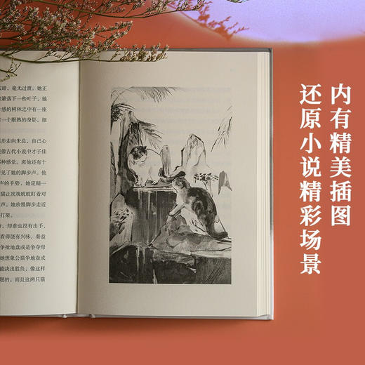月色朦胧 程青 著 老舍文学奖得主程青 都市伦理小说集 婚姻爱情事业家庭直击当代都市人的生活痛点 年轻男女的生活写照 商品图3