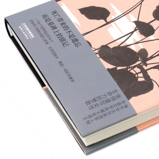 睡吧芙洛睡吧(精) 商品图2