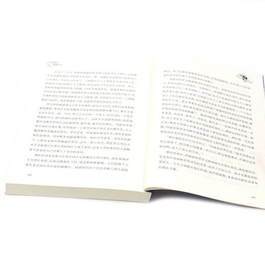 古堡里的月亮公主(成长版)/国际大奖小说 商品图4