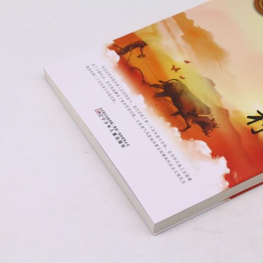 美丽乡村/美丽中国 商品图2