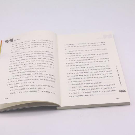 山海传奇/美丽中国 商品图4