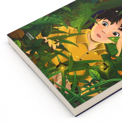 昆虫记(青少年读本) 商品图2