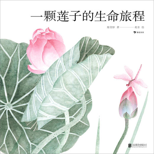 一颗莲子的生命旅程(精) 商品图1