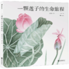 一颗莲子的生命旅程(精) 商品缩略图0
