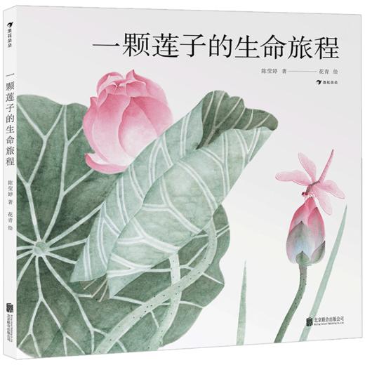 一颗莲子的生命旅程(精) 商品图0