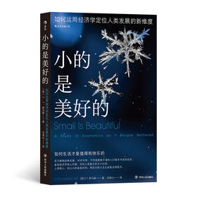 后浪正版 小的是美好的 如何生活才是值得和快乐的 百万畅销经典名著40多年来不同国度数不清的人们 被本书深深启发