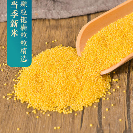 沁州 正宗原产地农家绿色有机无污染小米4斤装 商品图2