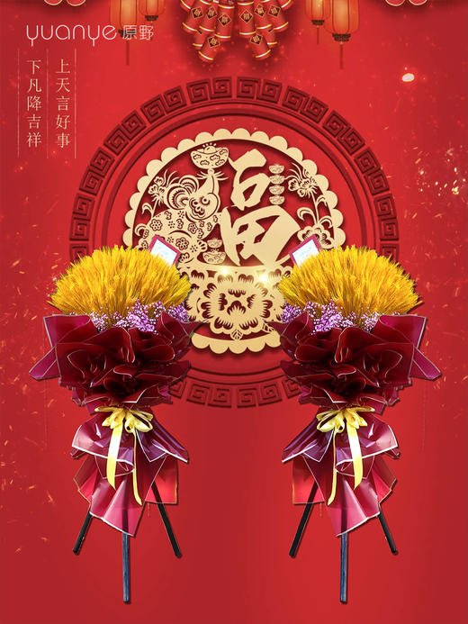 开业花篮大麦（大卖）（单个价格） 商品图3