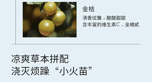 【桃红梨白】羽心堂雪梨蒲菊清润120g(15g*8 罐)/盒 商品图5