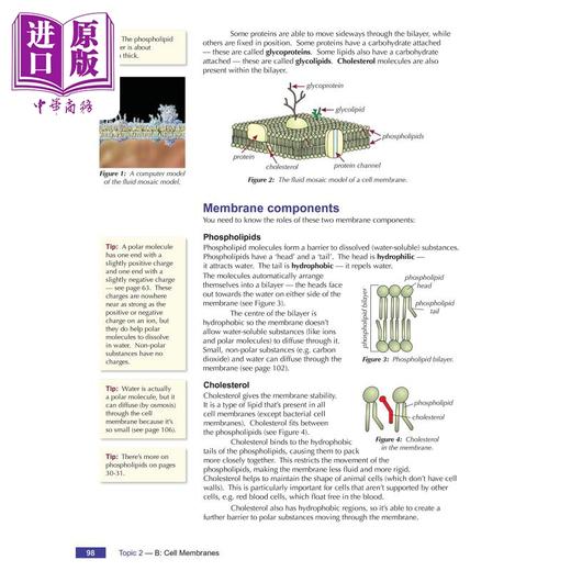 【中商原版】英国CGP A-Level Biology for AQA: Year 1 & 2 Student Book with Online Edition 商品图3