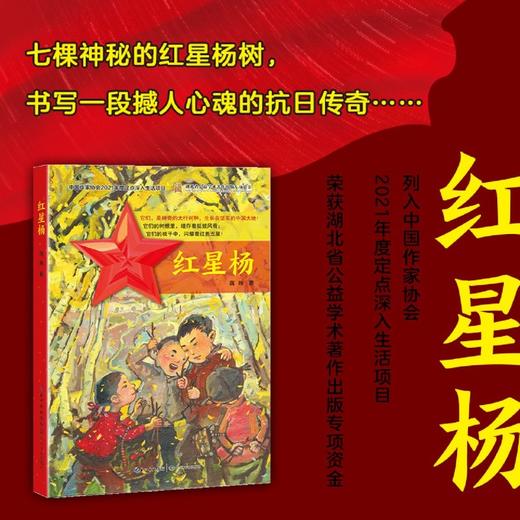 红星杨 商品图1