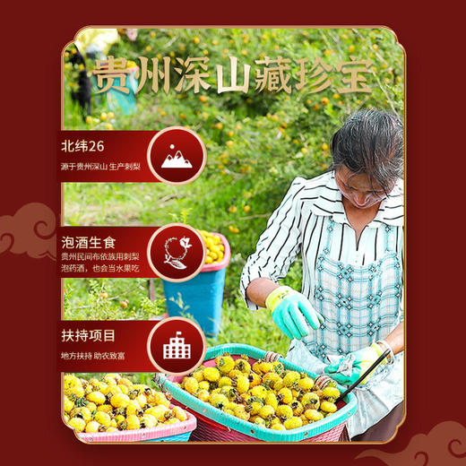 【买一送一】汉谯堂刺梨来自大山深处的养生刺梨自然晒干不熏制富含多种维生素每天一杯从脸蛋白到脚趾泡茶泡酒芳香四溢 商品图4