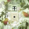 英国 祖玛珑（Jo Malone）英国梨与小苍兰女士香水 100ml/瓶【香港直邮】 商品缩略图2