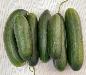 蔬菜（黄瓜）1kg/份