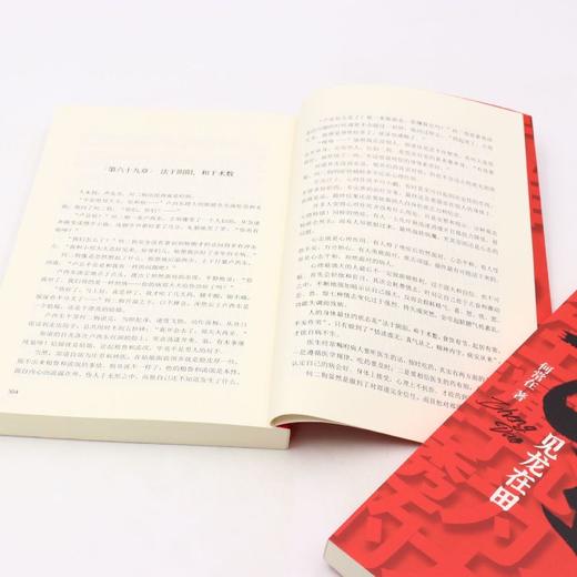 正道(见龙在田上下) 商品图4