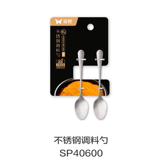 不锈钢调料勺SP40600 商品图0
