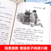 冰心奖获奖作品书系全6本儿童文学全集 三四五六年级课外阅读书籍老师推荐畅销书排行榜适合小学生必读的经典书目语文 3-4-5-6读物 商品缩略图3