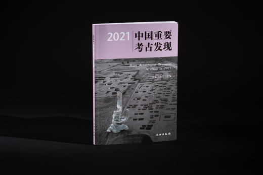 2021中国重要考古发现 商品图0