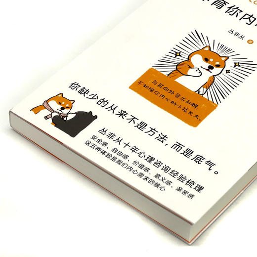 养育你内心的小孩 商品图2