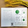 虫洞书简(4给青少年的82堂智慧课) 商品缩略图4