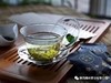梅岭春芽（明前、纯手工、G20专用、特级） 4g*24袋/盒 商品缩略图3