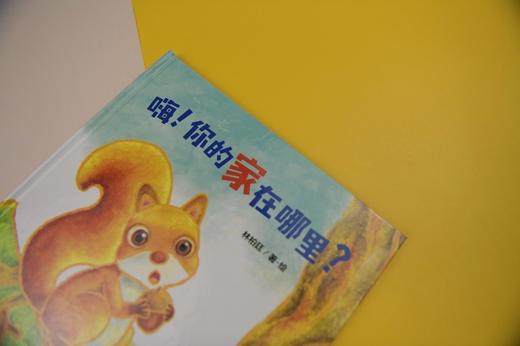 (仓发) 嗨！你的家在哪里？（魔法象·图画书王国）/广西师范大学出版社/林柏廷/9787559835215 商品图4