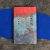 山魈考残编(精) 商品缩略图2