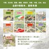 (仓发) 旅之绘本：全9册（爱心树童书）/新星出版社/[日]安野光雅/9787513330114 商品缩略图4