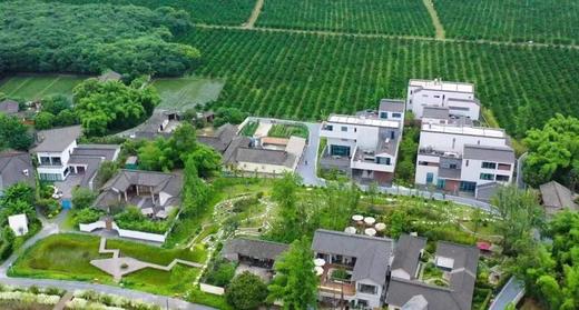 【邛崃-112号院】4房、5房、6房小院，油菜花、稻田民宿，床多，设计感超强。dx 商品图10