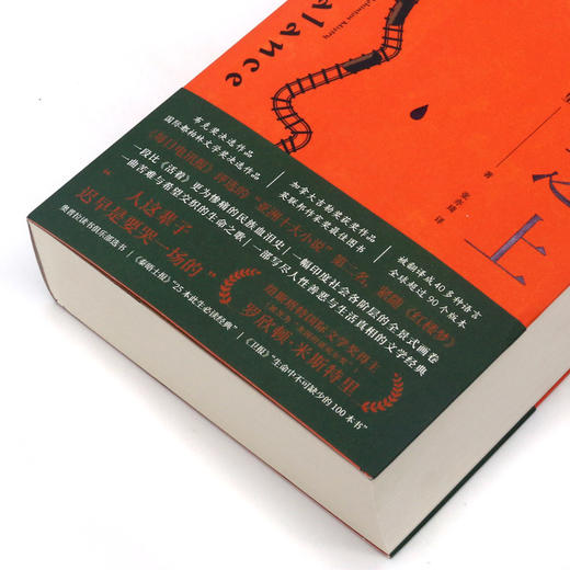 大地之上 商品图2