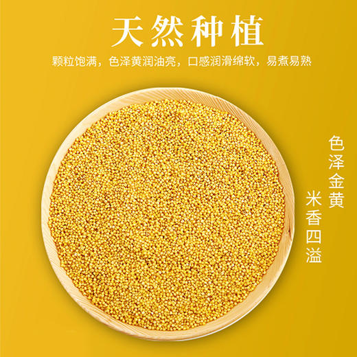 打谷塬陕北米脂黄小米1千克袋装 商品图1