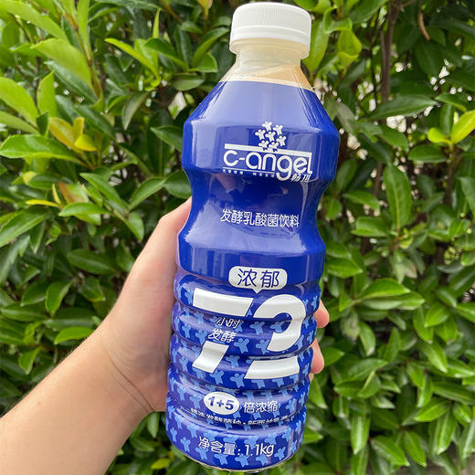 高倍浓缩发酵乳酸菌（杀菌型）1.1kg 畅琪乳酸菌 商品图4