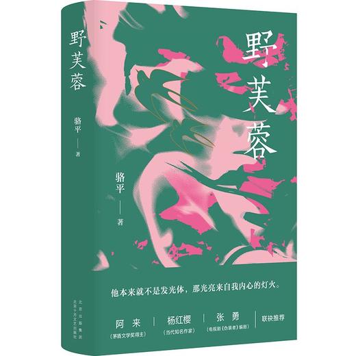 野芙蓉 商品图3