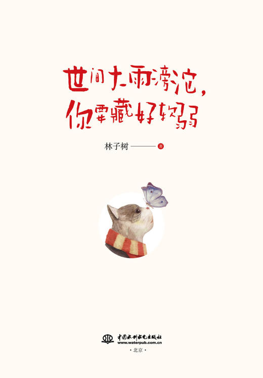 世间大雨滂沱你要藏好软弱 商品图3