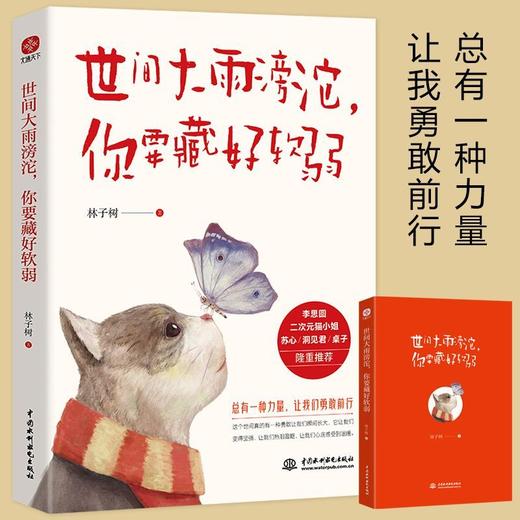 世间大雨滂沱你要藏好软弱 商品图0