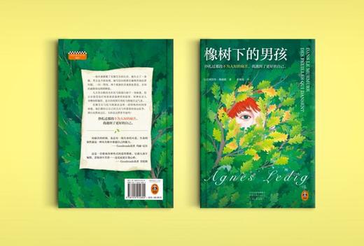 橡树下的男孩 商品图1