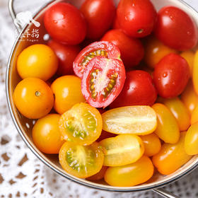 生态圣女果（四川） | 合作生产* Ecological Tomatoes｜Coproducted | Coproduction