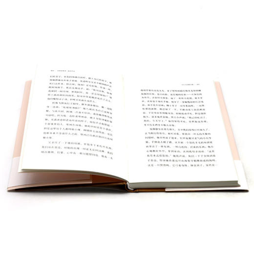 少年与沉默之海(精) 商品图4