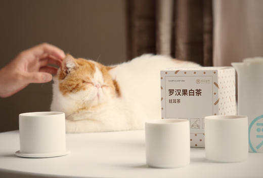 多采自然 伴手礼系列 挂耳罗汉果白茶+一壶两杯组合【天猫同款】 商品图5