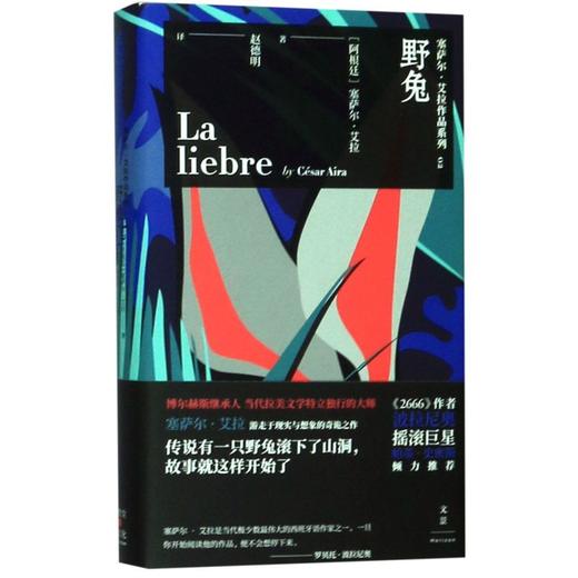 野兔(精)/塞萨尔·艾拉作品系列 商品图0