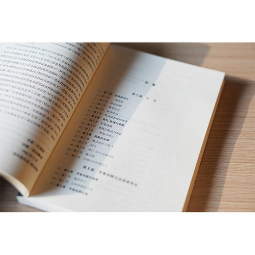 说谎者悖论：真与循环 商品图4