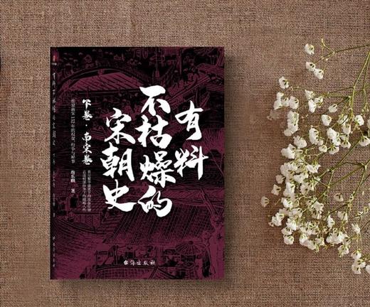 有料不枯燥的宋朝史(下卷南宋卷) 商品图4