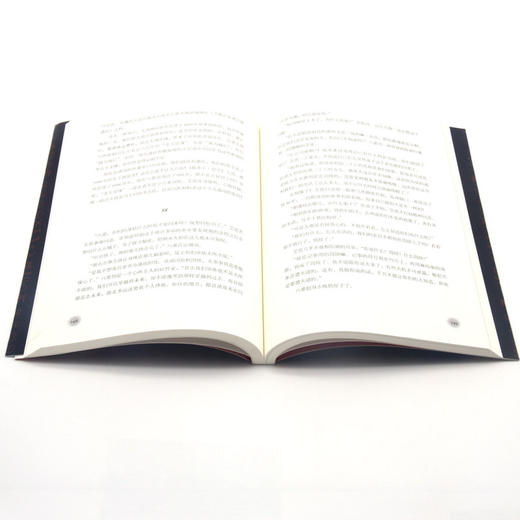 玉琮迷踪(从良渚到金沙考古探秘) 商品图4