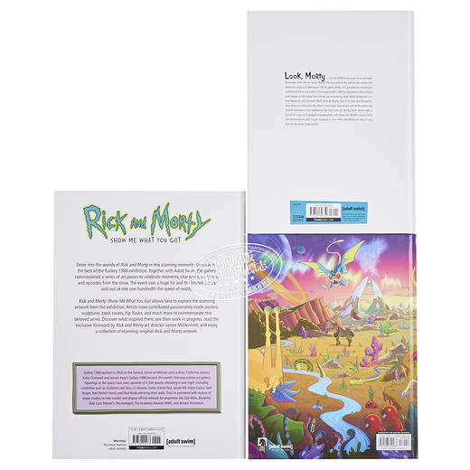 【中商原版】瑞克和莫蒂设定集 3本套装 The Art of Rick and Morty 英文原版 Justin Roiland 商品图3