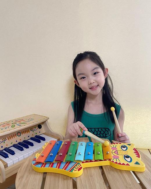 djeco曼波猫婴幼儿童小木琴婴儿八音琴手敲打击乐器音乐敲琴玩具 商品图4