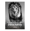 【现货】【摄影大师系列】David Yarrow : How I Make Photographs | 大卫·亚罗：如何摄影 商品缩略图0