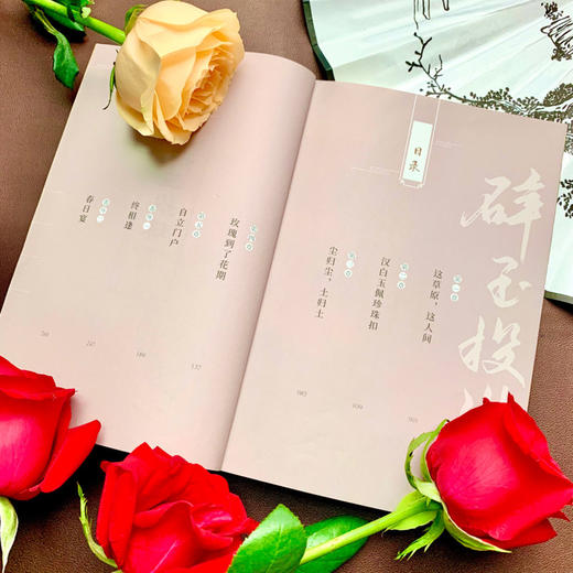 碎玉投珠(完结篇) 商品图3