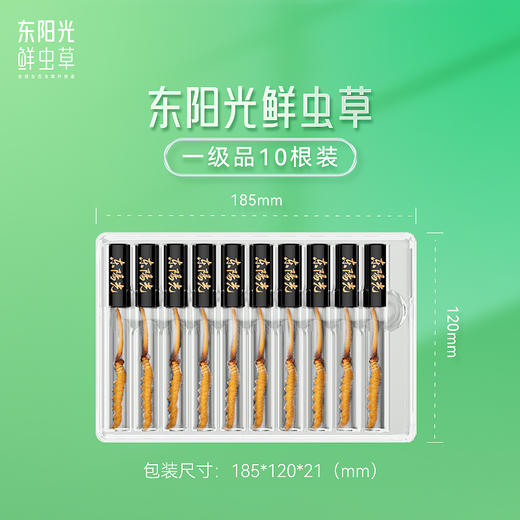 【一级品】东阳光鲜虫草 新鲜冬虫夏草10根装 0.4~0.6g/根 商品图2