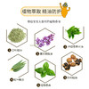 贝纽叮乐宝防蚊贴儿童室内户外防蚊子神器婴儿大人精油防蚊贴防虫12片/袋 商品缩略图8