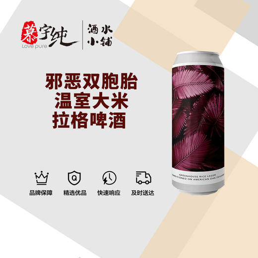 邪恶双胞胎温室大米拉格啤酒 商品图0